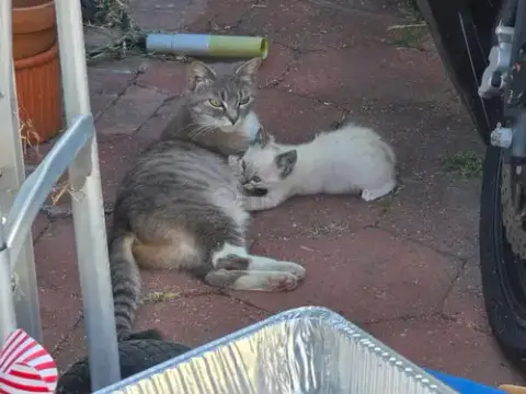 Meredith photo 5