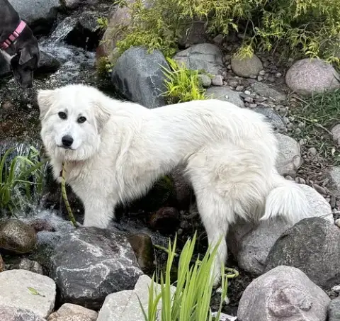 Ava photo 4