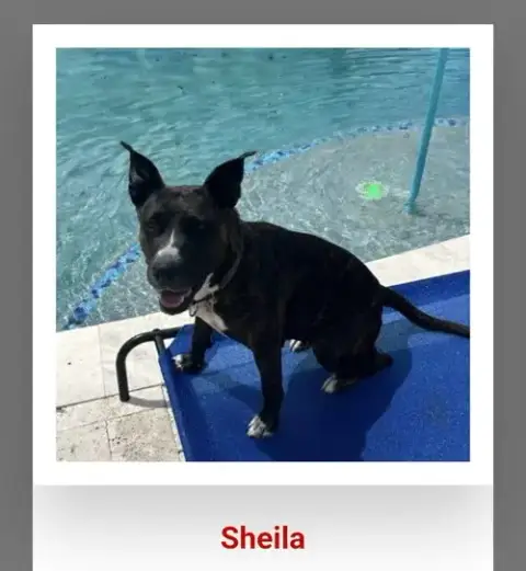 Sheila