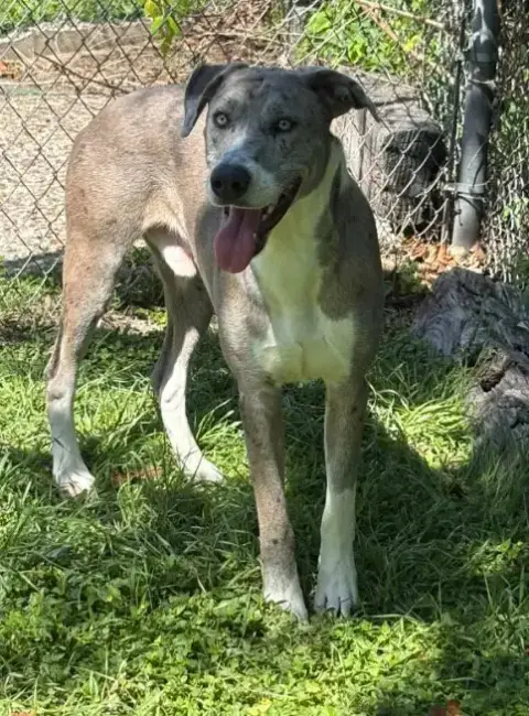 Wyatt photo 2
