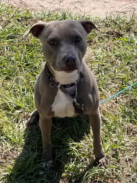 Penny photo 3