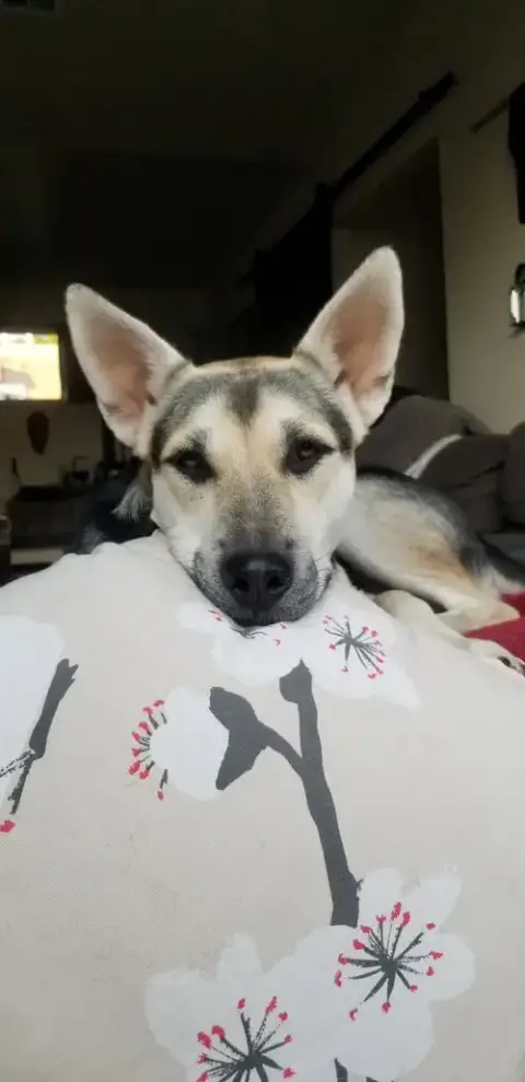 Holly photo 3