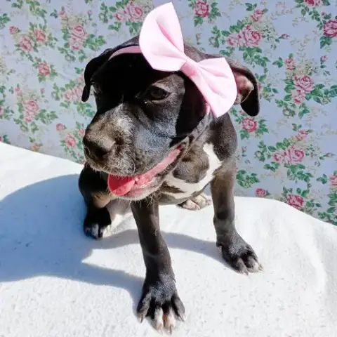 Gamora-In A Foster Home photo 2