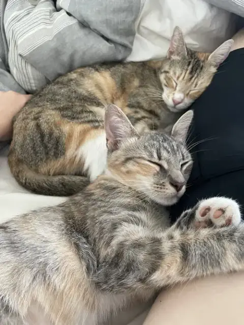 June And Bug
