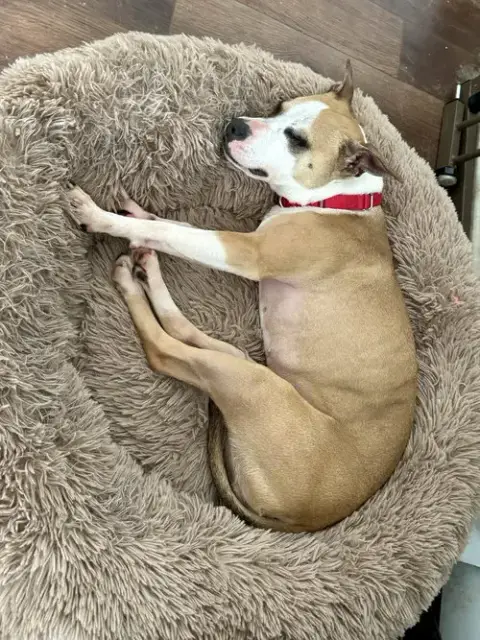 Mitsy photo 3
