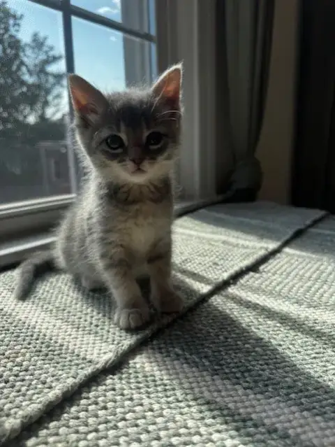 Winnie photo 4
