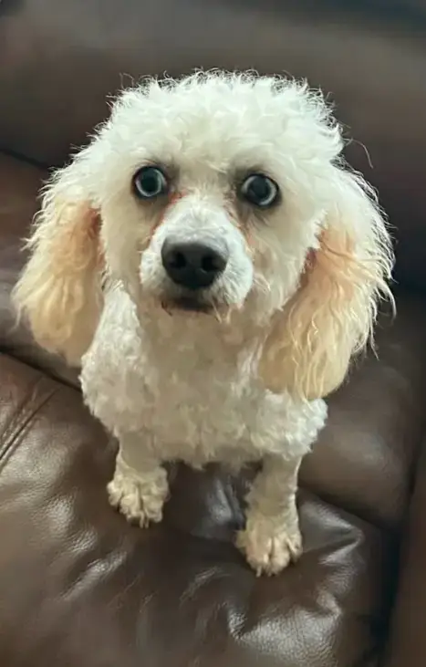 Gabriel In Tx