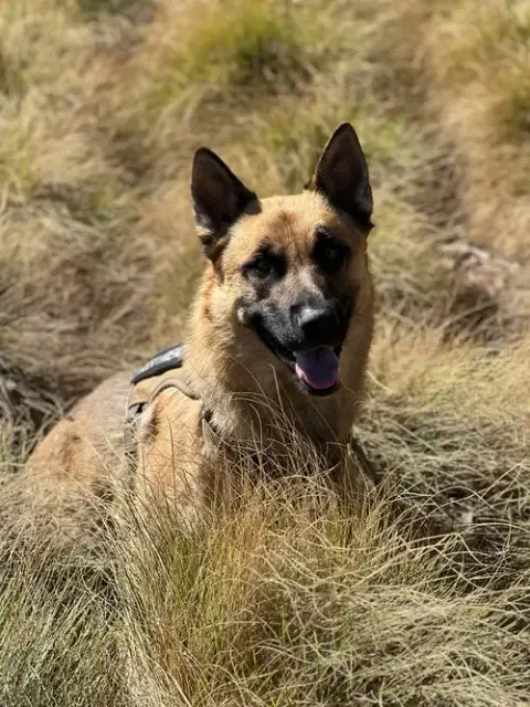 Titan photo 2