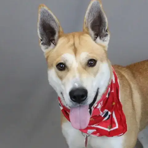 Lucy photo 2