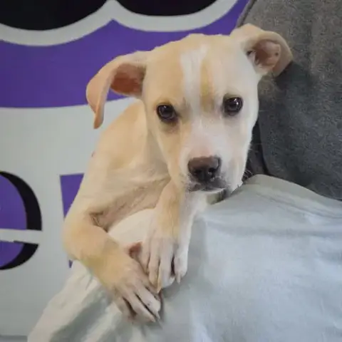 Delilah photo 4