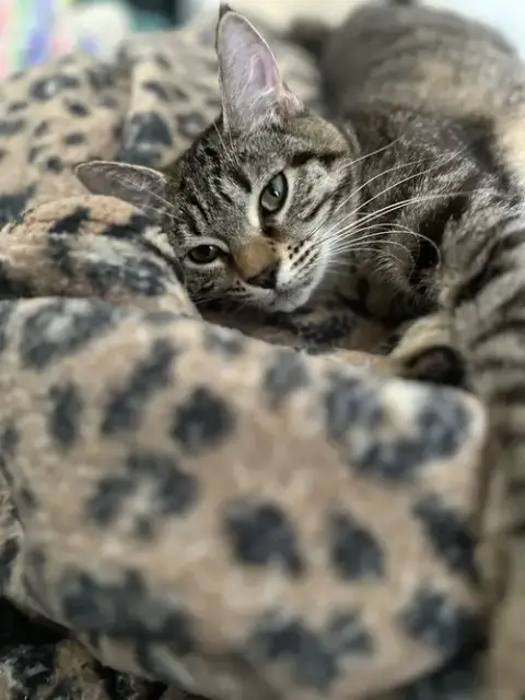 Bonnie photo 2