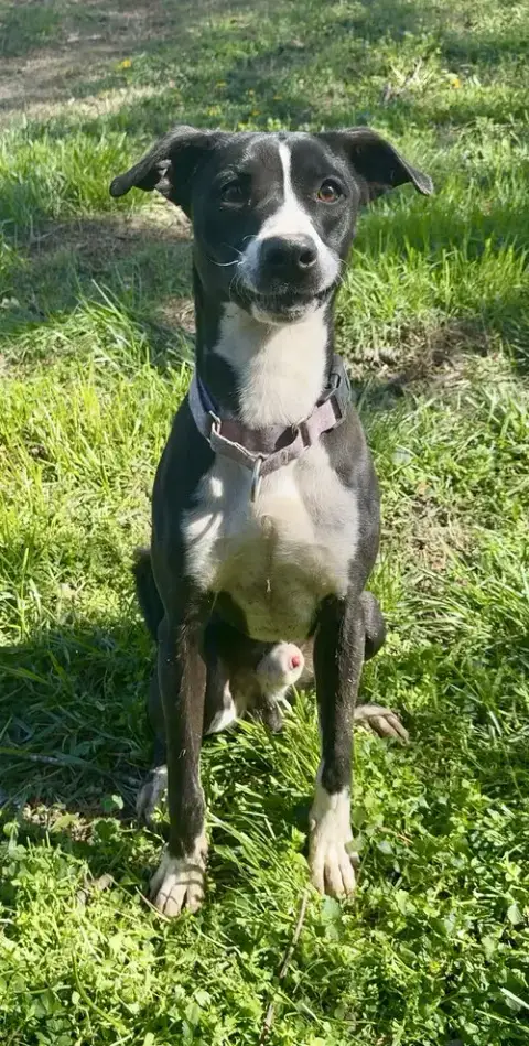 Charlie