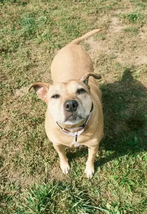 Sadie photo 2