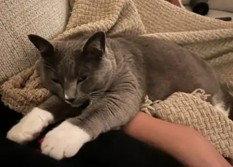 Phoebe photo 2