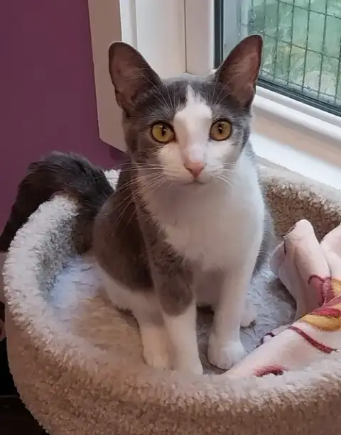 Miley * In Foster *
