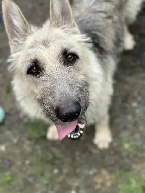 Gigi The Glamorous photo 3
