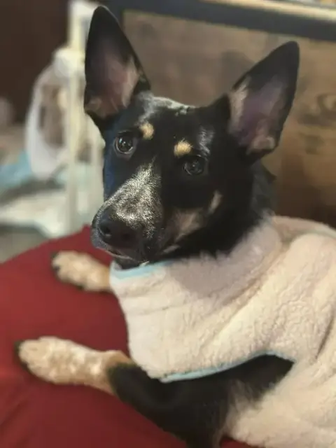 Penelope photo 3