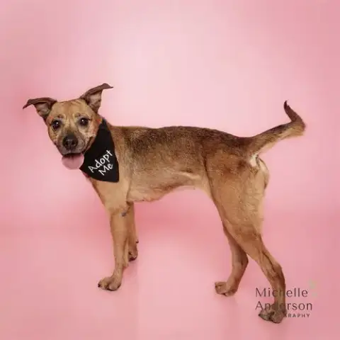 Roxy