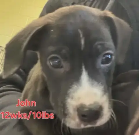 John photo 3