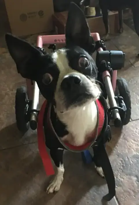 Charlie photo 4