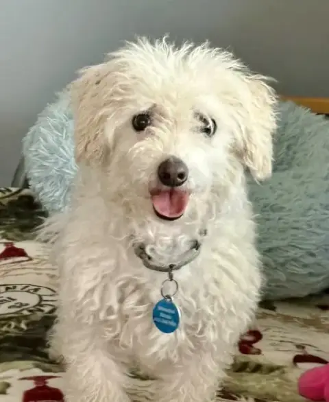 Corbin photo 3