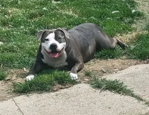 Penny
