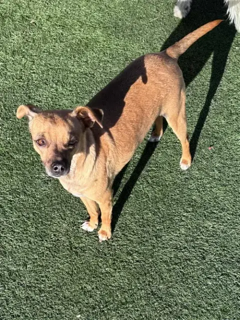 Gus photo 2