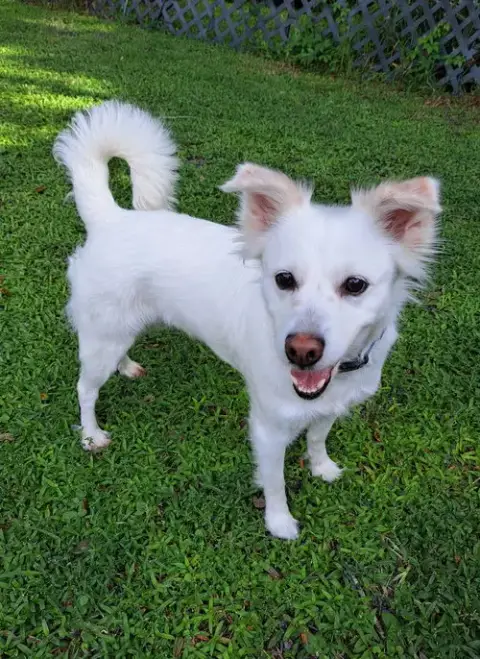 Luna Of Central Fl