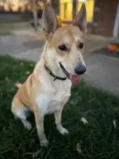 Sandy photo 4