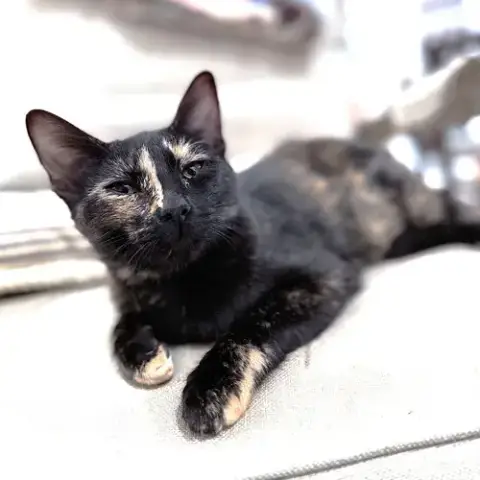 Zuzu photo 3