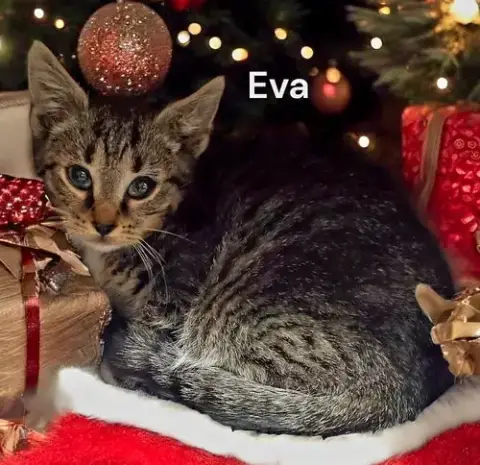 Eva photo 4