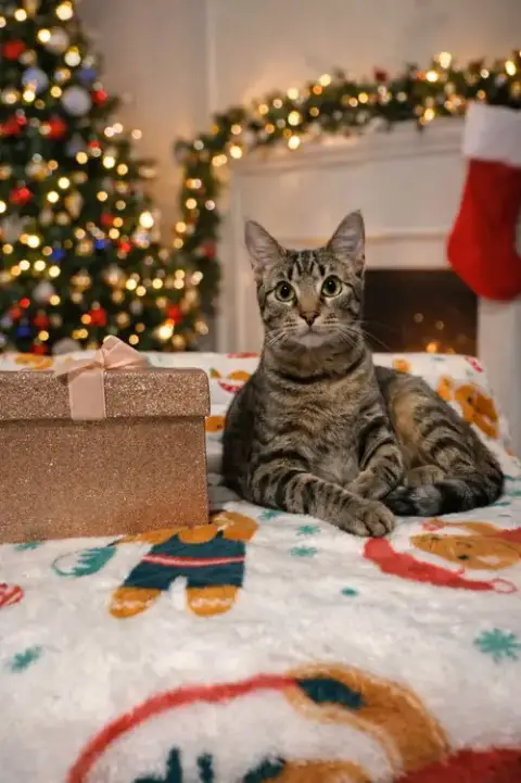 Loki