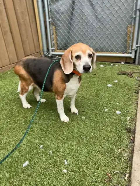 Suzie