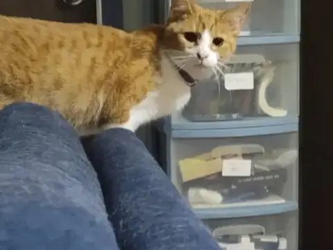 Copper
