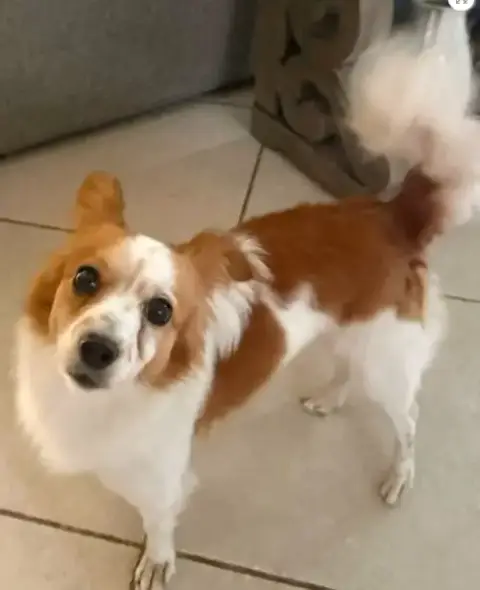 Max