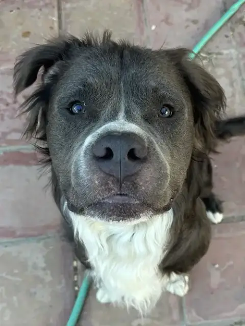 Bubba Bear photo 2