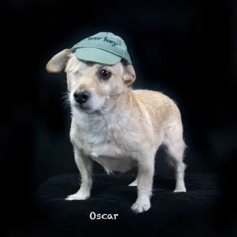 Oscar photo 2
