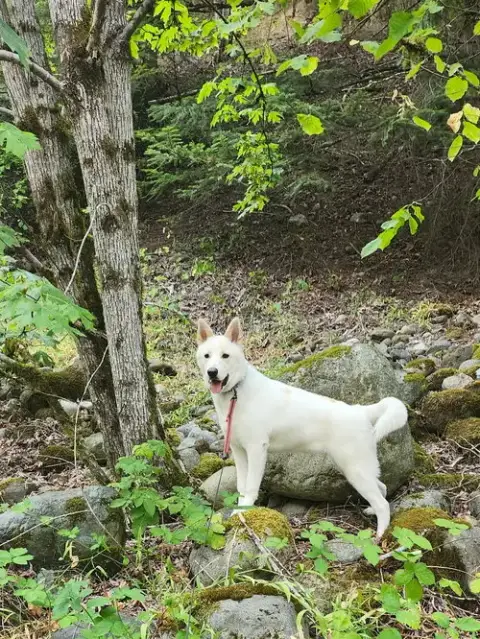 Wiley photo 3