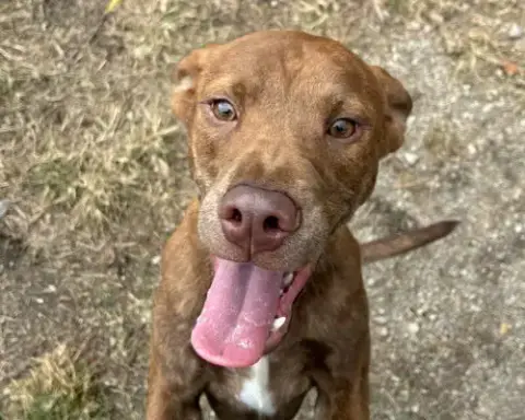 Leroy