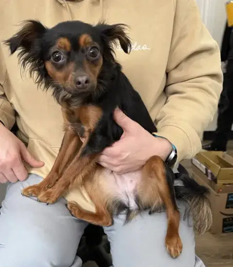 Estrella