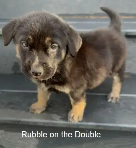 Rubble On The Double