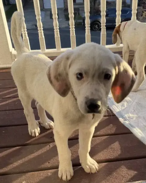 Baby Lexie photo 3