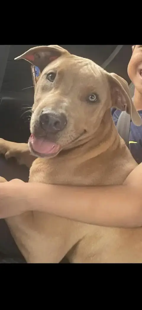 Billy