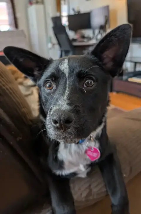 Lucky Day photo 5