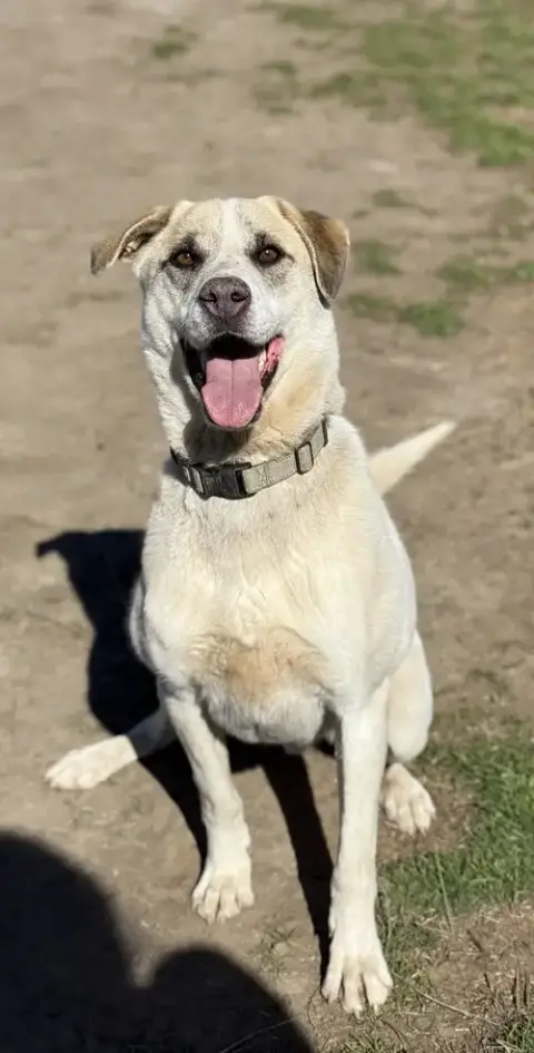 Jasper photo 2