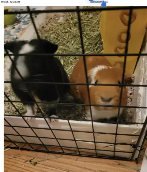 Huck And Finn