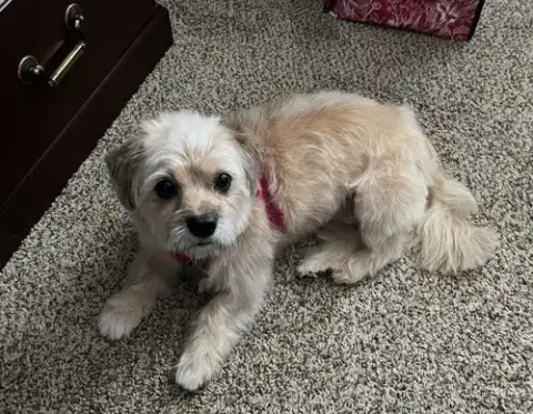 Molly Mar 26 photo 2