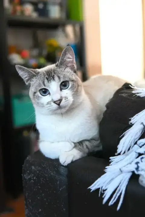 Lyla photo 5