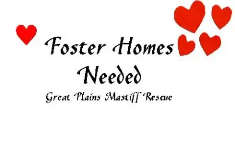 Fosters Needed photo 2