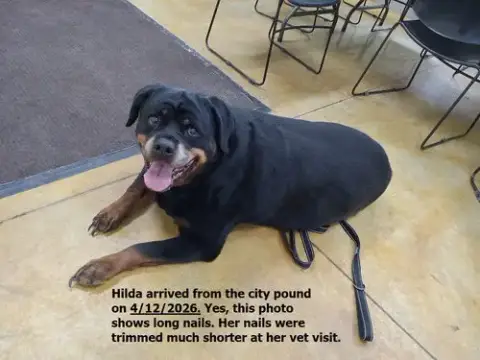 Hilda photo 2